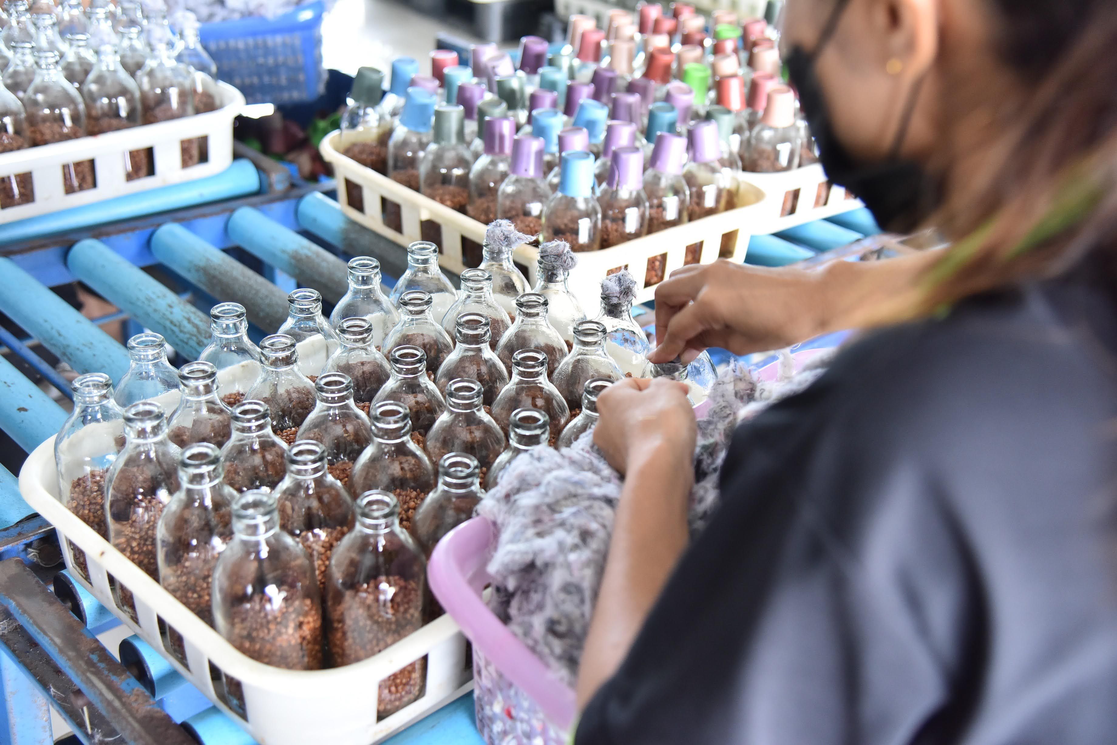 Worker fills glass bottles with brown material on an assembly line.