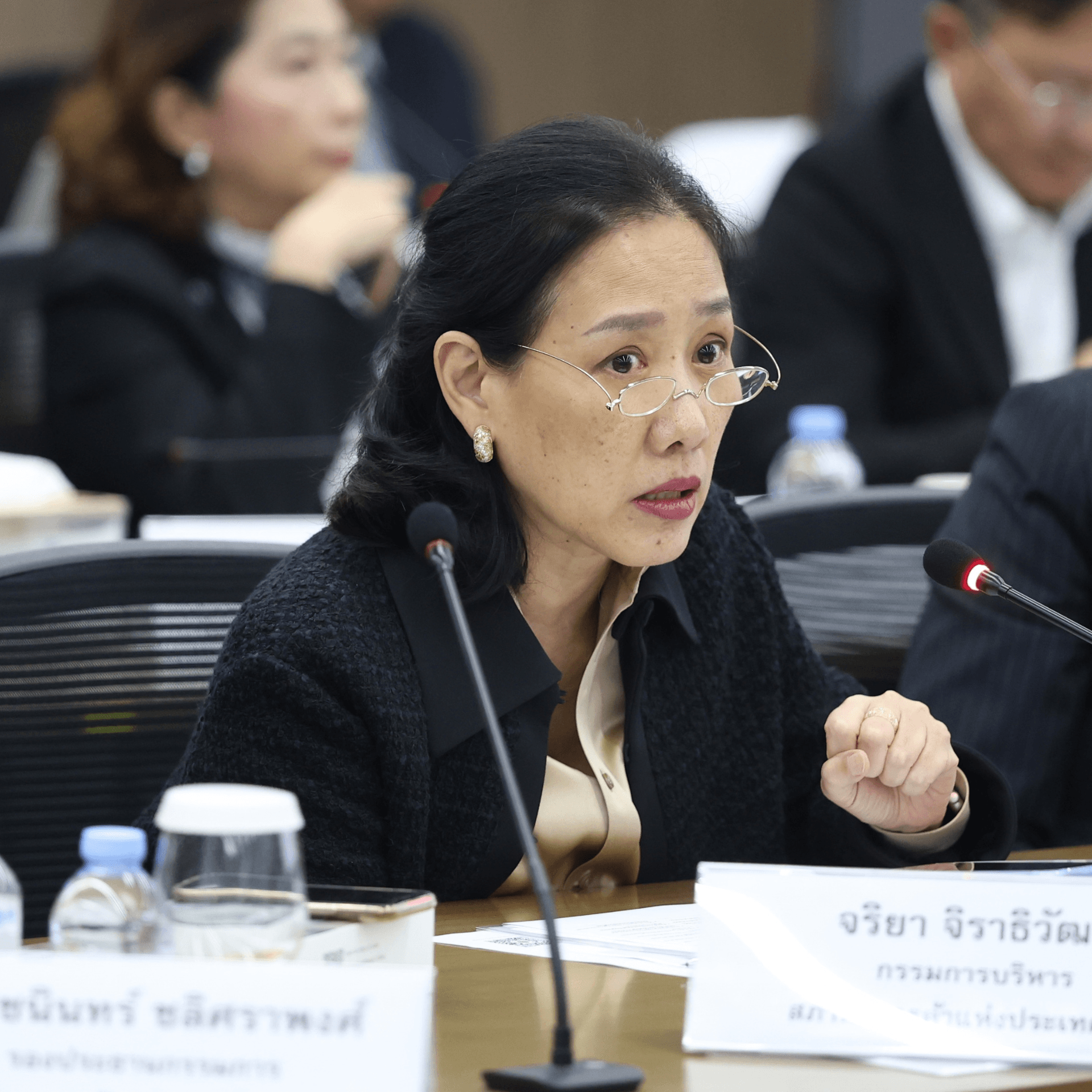 Professional woman with glasses speaks into a microphone during a meeting.