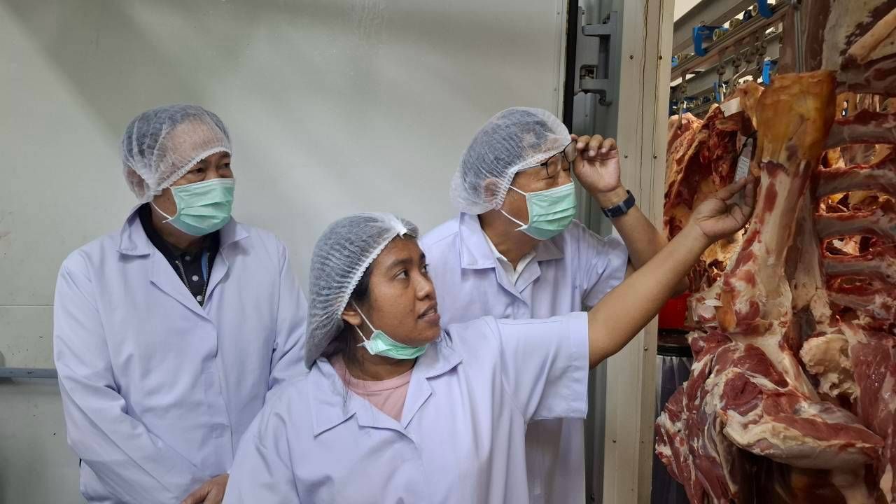 Three workers in hygienic gear inspecting large cuts of raw meat in a facility.