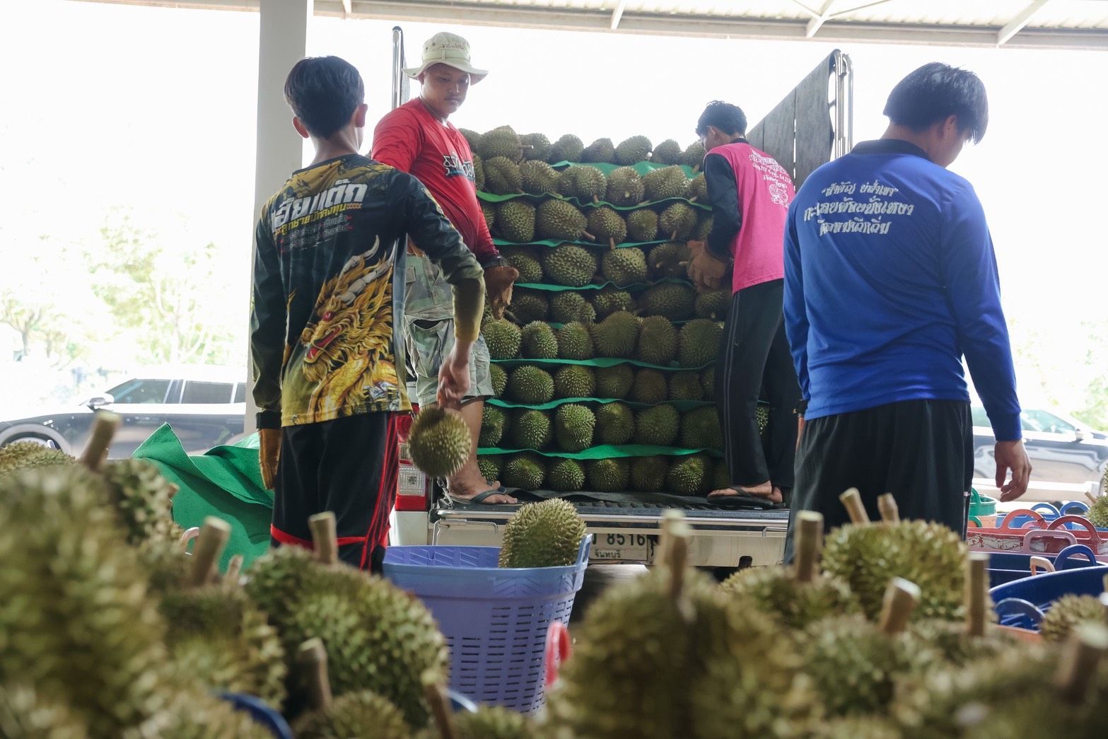 Workers load spiky durian fruits onto a large truck in an outdoor market.