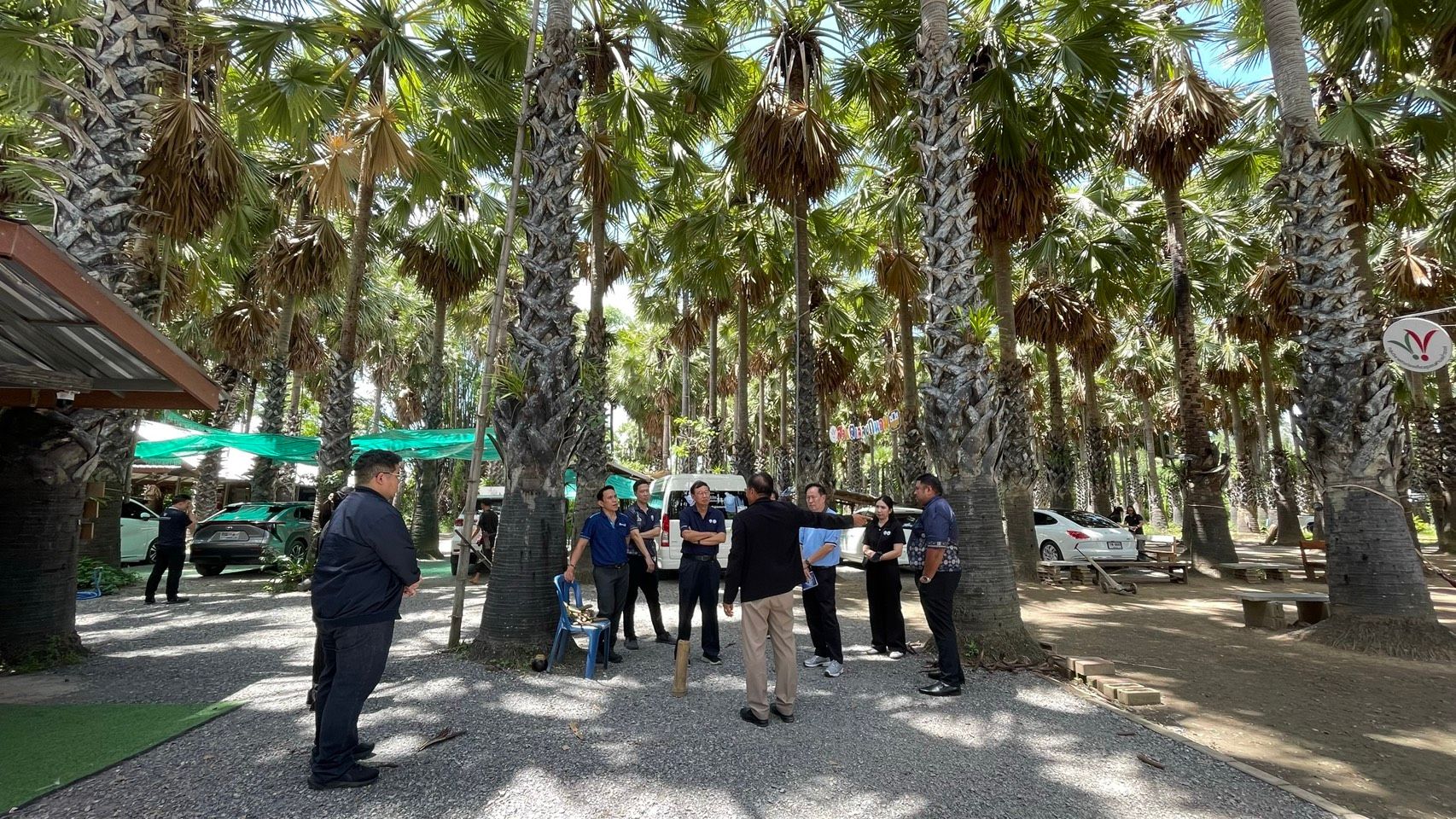 Group of people gathered under a dense canopy of tall palm trees in an outdoor setting.