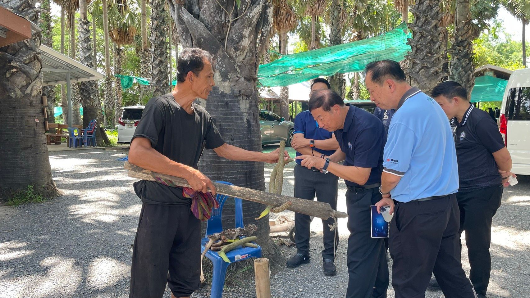 A man demonstrates a traditional tool or plant part to a group of onlookers under palm trees.