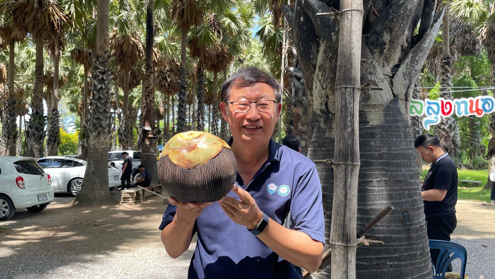 Smiling man holds a large, brown palm fruit in an outdoor setting with palm trees.