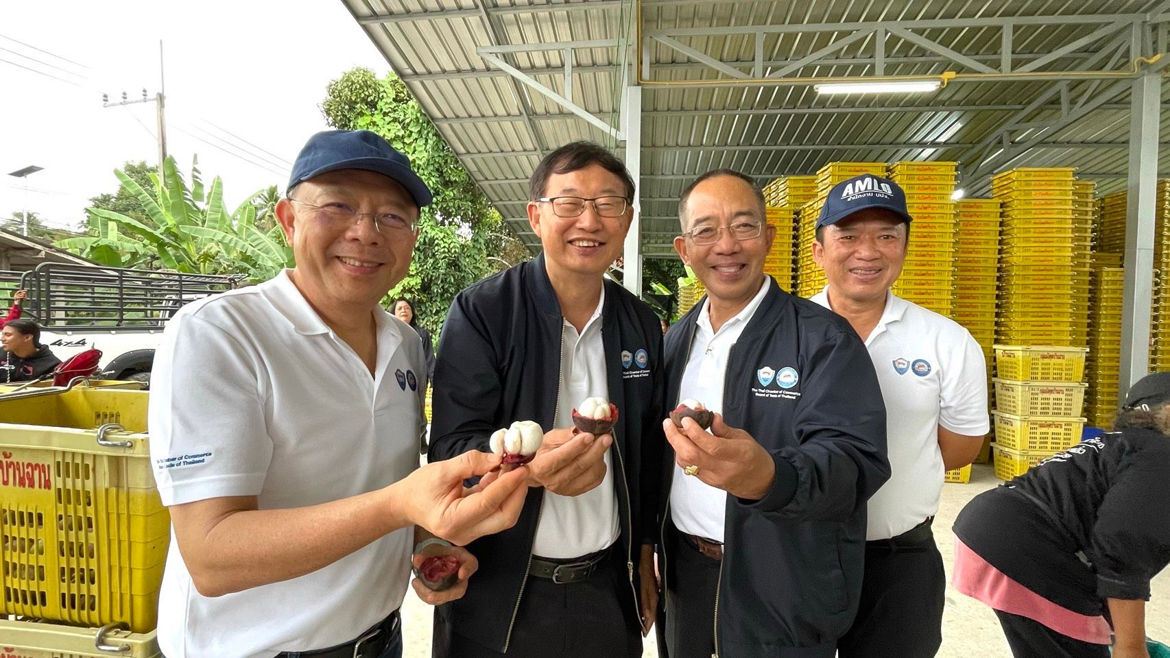 Four smiling men proudly display mangosteen fruits in an outdoor agricultural setting.