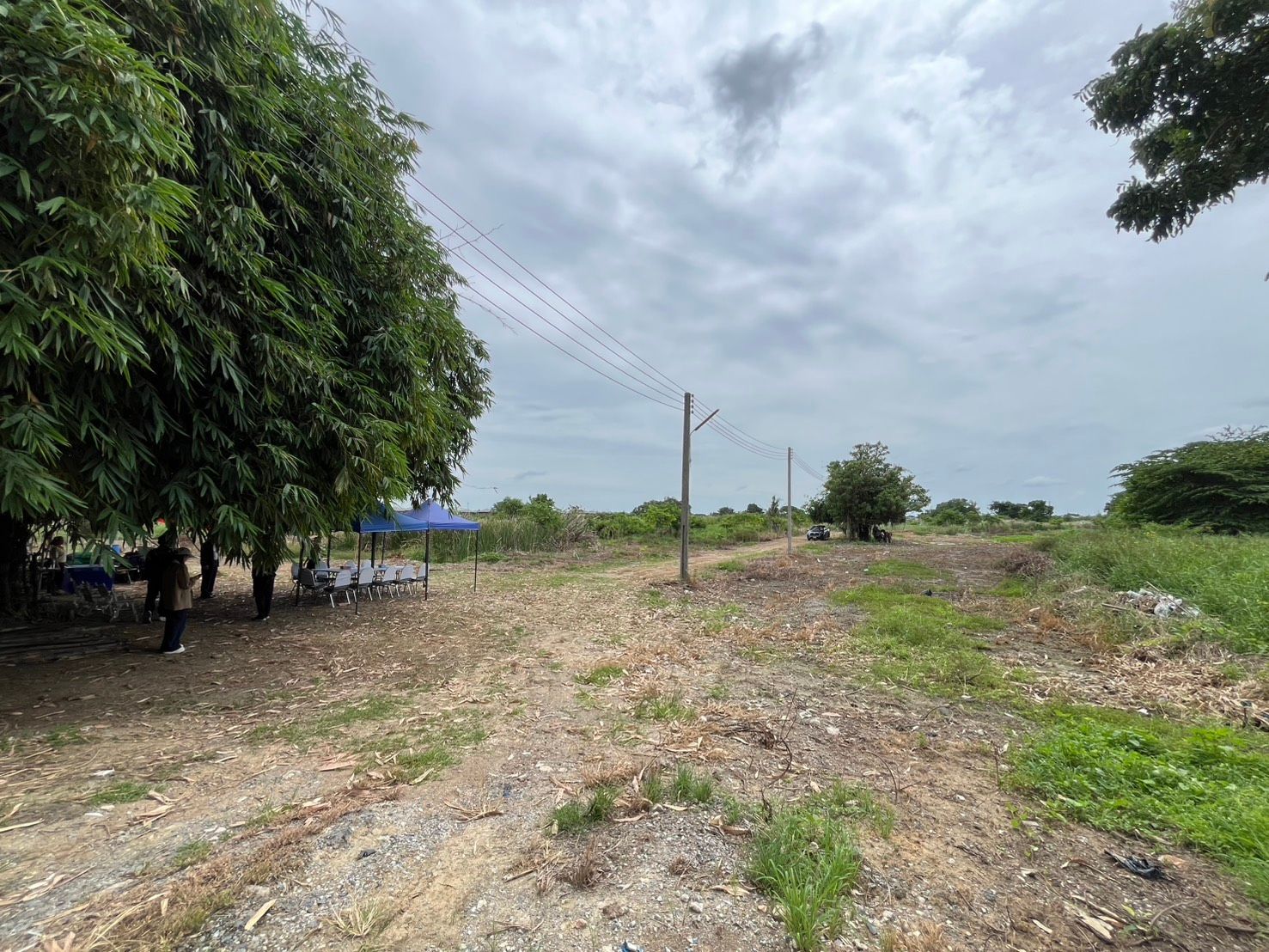 Rural dirt path with utility pole, large trees, and people under a blue tent.